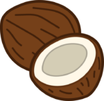 코코넛 일러스트
